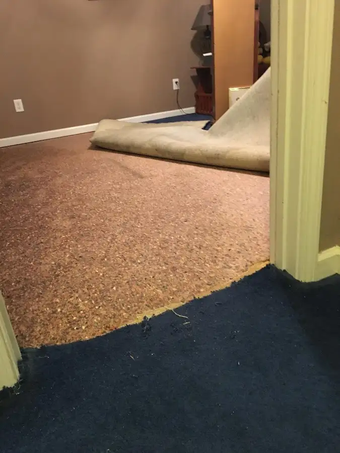 Carpet pad removal revealing water damage during Drying & Dehumidification in Waynesboro