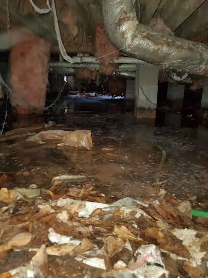 Crawl space flood assessment for Commercial Water Damage Restoration in Waynesboro
