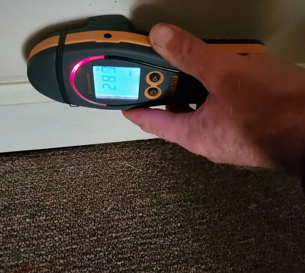 Moisture detection at baseboard during Burst Pipe Cleanup in Waynesboro